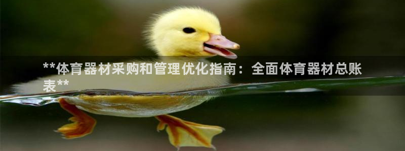 星欧娱乐属于什么档次的公司：**体育器材采购和管理优化指南：