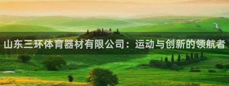 星欧娱乐平台测速线路怎么设置：山东三环体育器材有限公司：运动