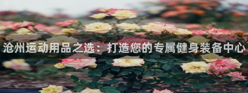 星欧娱乐扣款流程详解视频播放：沧州运动用品之选：打造