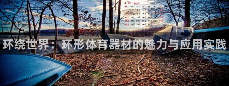 星欧娱乐扣款：环绕世界：环形体育器材的魅力与应用实践
