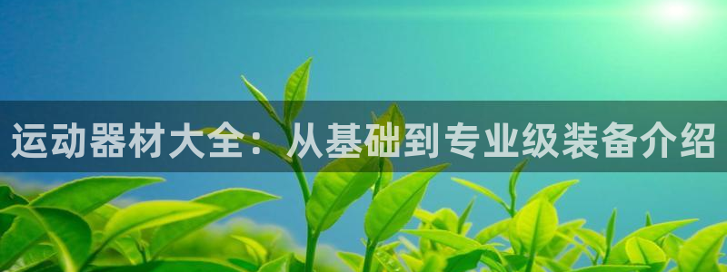 星欧娱乐公司电话号码：运动器材大全：从基础到专业级装