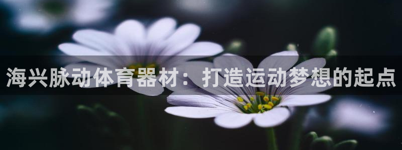 星奥娱乐集团怎么样：海兴脉动体育器材：打造运动梦想的