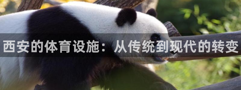 星欧娱乐扣款流程详解图：西安的体育设施：从传统到现代