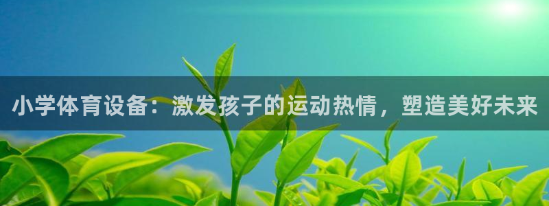 星欧娱乐是正规平台吗：小学体育设备：激发孩子的运动热情，塑造