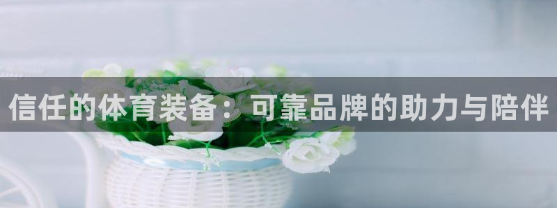 星澳娱乐公司简介：信任的体育装备：可靠品牌的助力与陪伴