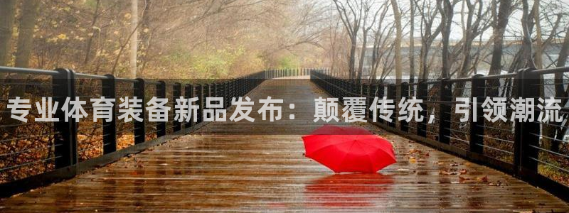 星欧娱乐扣款流程详解图片大全：专业体育装备新品发布：颠覆传统