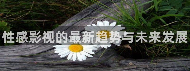 五五五影院