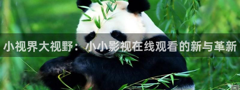 五五影院下载