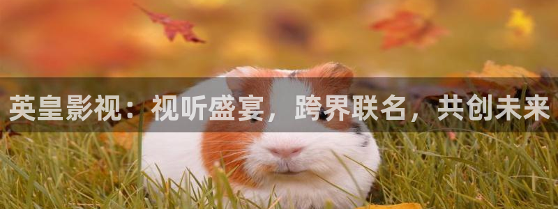 五五电影