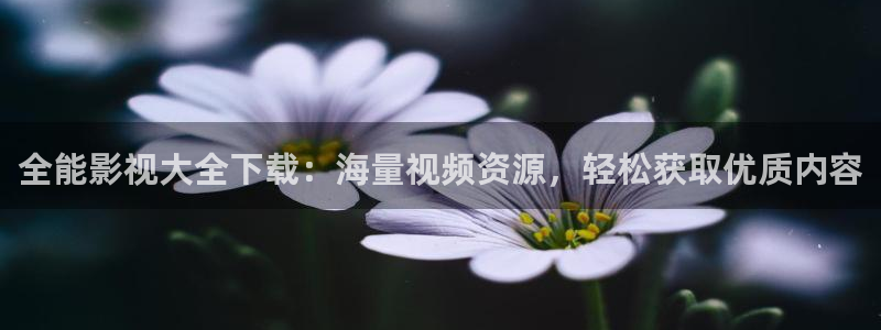 五五五电影网站