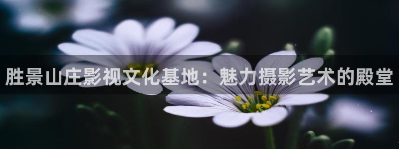 五五五欧美影院