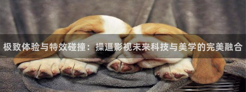 五五被窝影院