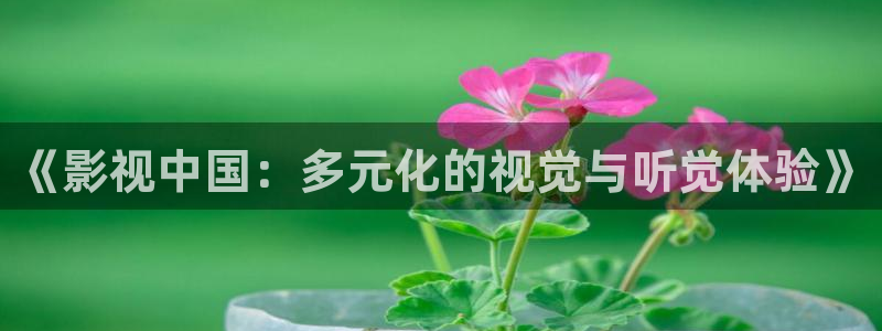 五五理论电影