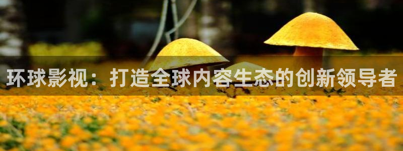 五五电影免费看完整版：环球影视：打造全球内容生态的创新领导者