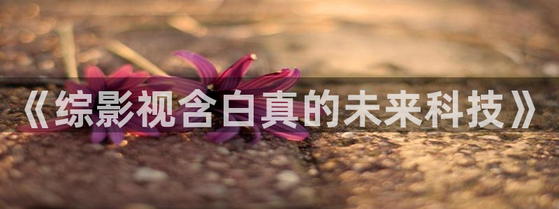 五五看影视官网