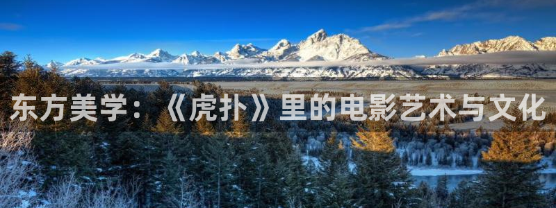 五五影视在线观看